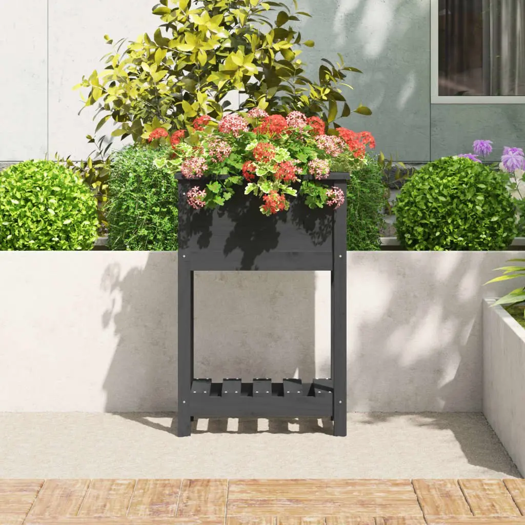 Raised Garden Flower Box with Shelf Solid Pine Grey Ergonomic Height 54x34.5x81cm