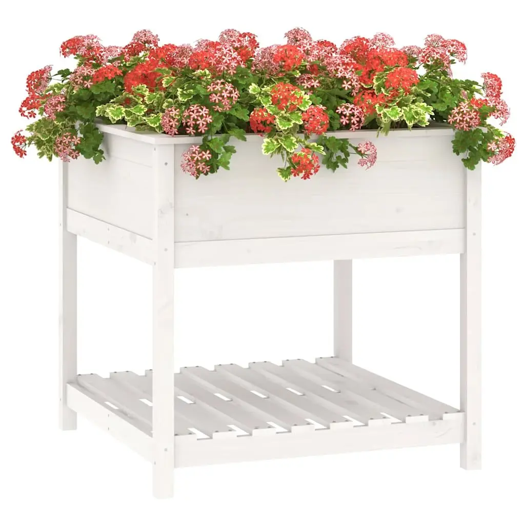 Wooden Planter with Shelf