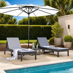 Friendly Grey Sun Loungers 2 pcs for Your Outdoor Space