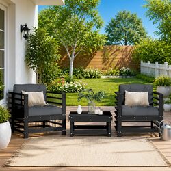 Friendly Black Wood Outdoor Chairs with Soft Cushions