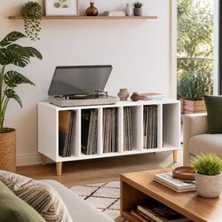 Organize Your Vinyl Collection with This Friendly Cabinet