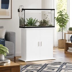 Friendly White Aquarium Stand for Your Fish Tank Needs