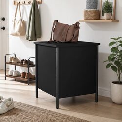 A Friendly Addition: Your Black Storage Bench