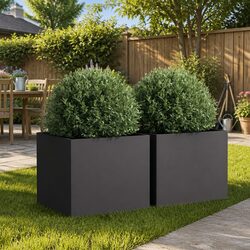 Enhance Your Space with Black Steel Planters - 2 Pack