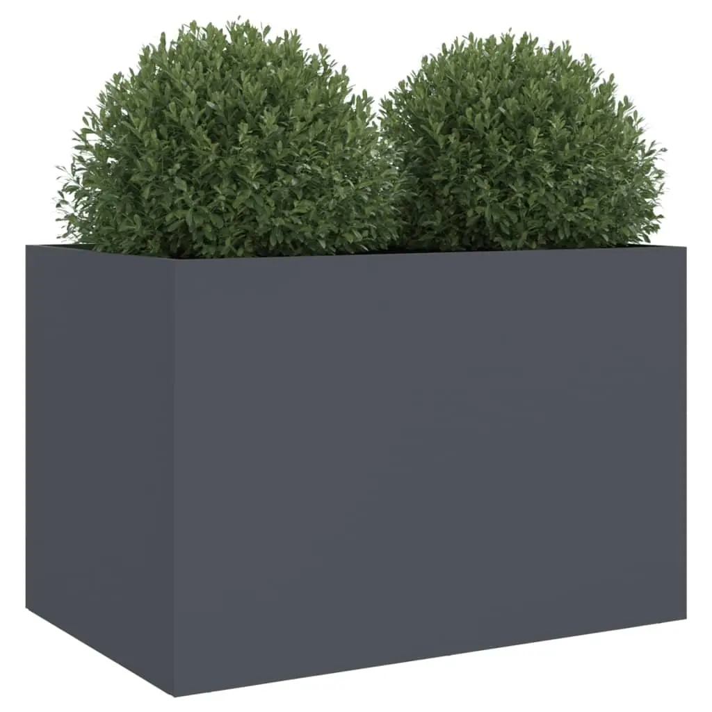 Anthracite Planter for Home Gardening