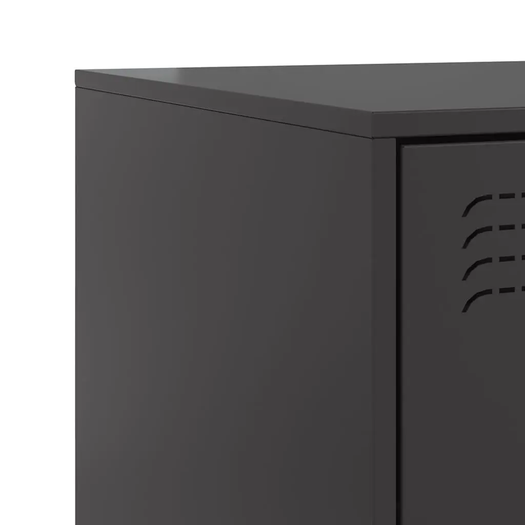 Bedside Cabinets 2 pcs Black Storage Tables Bedroom Nightstand Furniture Set