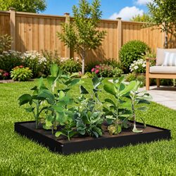 Your New Favorite Black Steel Garden Bed for Home Gardening