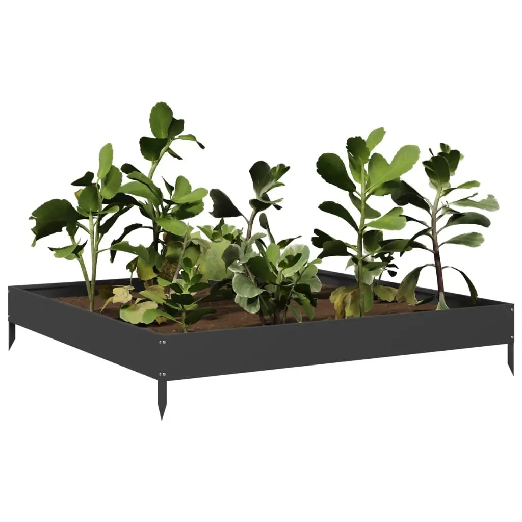 Black Steel Garden Bed for Home Gardening