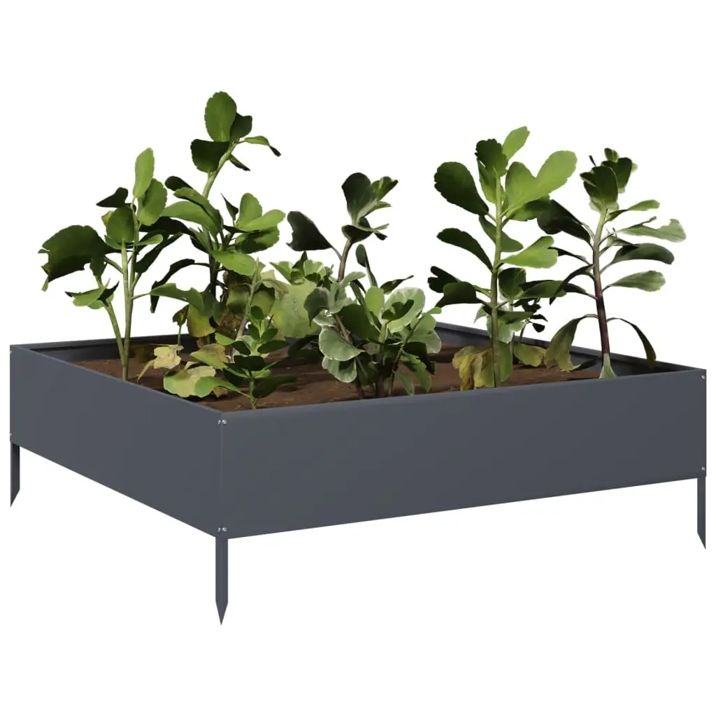 Anthracite Steel Garden Bed 100x100x33.5cm