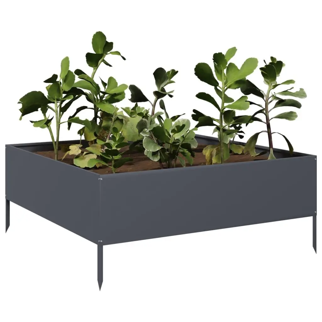 Steel Garden Raised Bed Weather-resistant Anthracite 100x100x41 cm Outdoor Planter Box