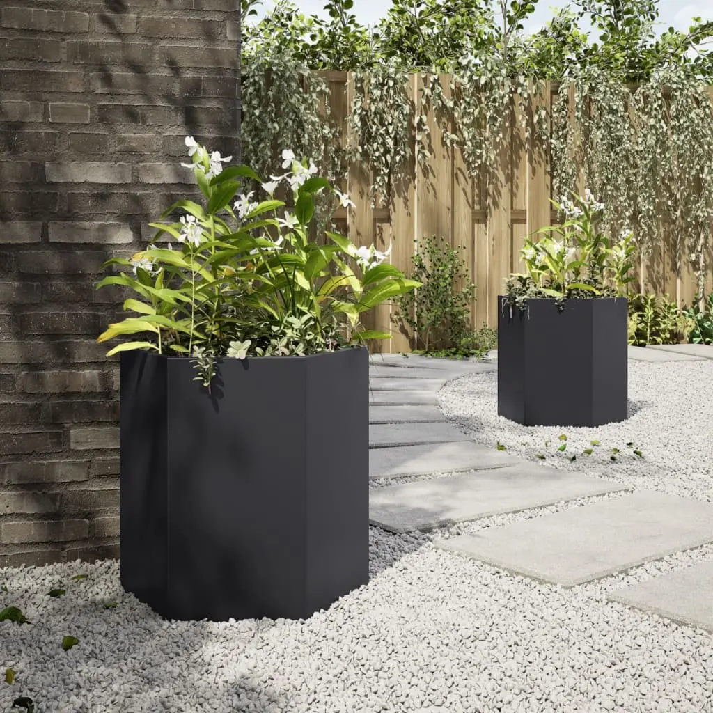 Garden Planters Black Hexagon 46x40x45 cm Raised Outdoor Flower Pot 2 pcs