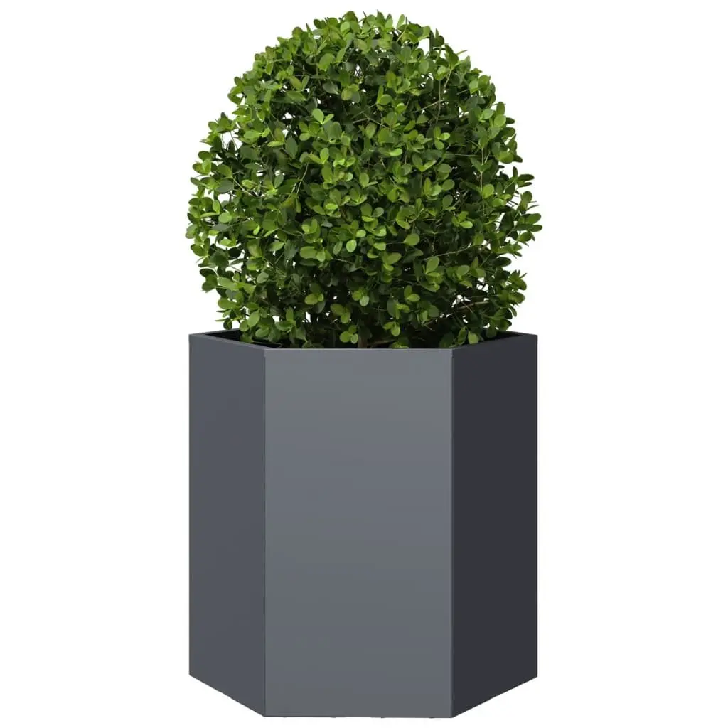 Garden Planters Hexagon Anthracite Raised Outdoor Flower Planter Pot 2 pcs