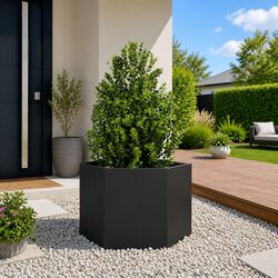 Create a Beautiful Garden with Our Black Hexagonal Planter