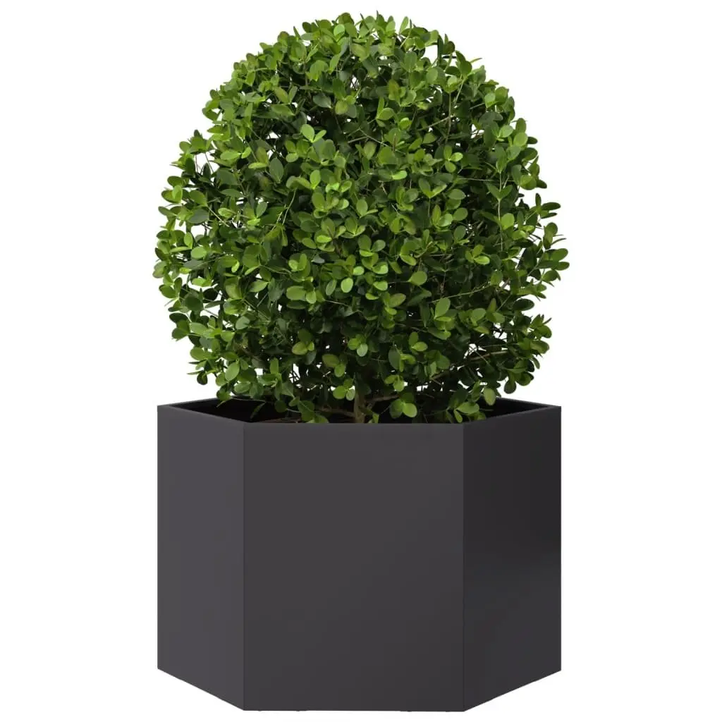 Garden Planter Hexagon Black Steel 69x60x45cm