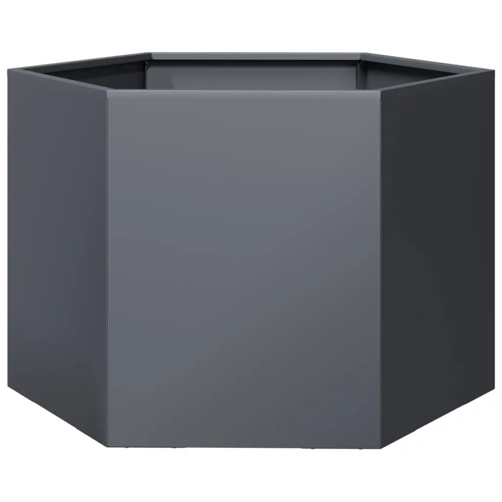 Hexagon Garden Planter Steel Raised Bed Outdoor 69 x 60 x 45 cm