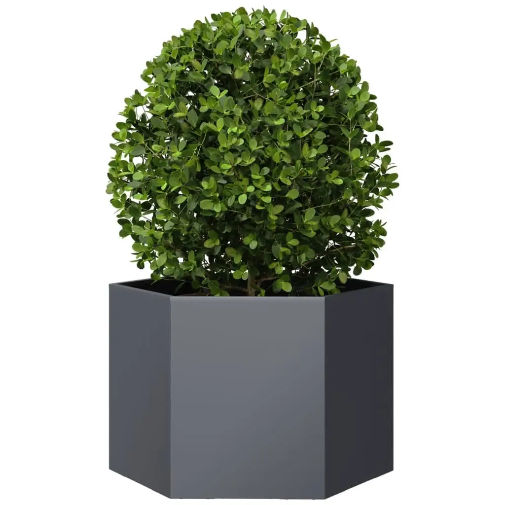 Hexagon Garden Planter Steel Raised Bed Outdoor 69 x 60 x 45 cm