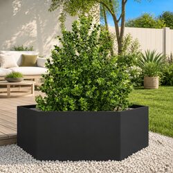 Stylish Hexagon Black Raised Bed for Gardening