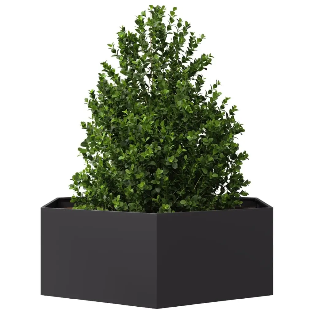 Hexagon Garden Planter Black Raised Bed 138x120x45 cm