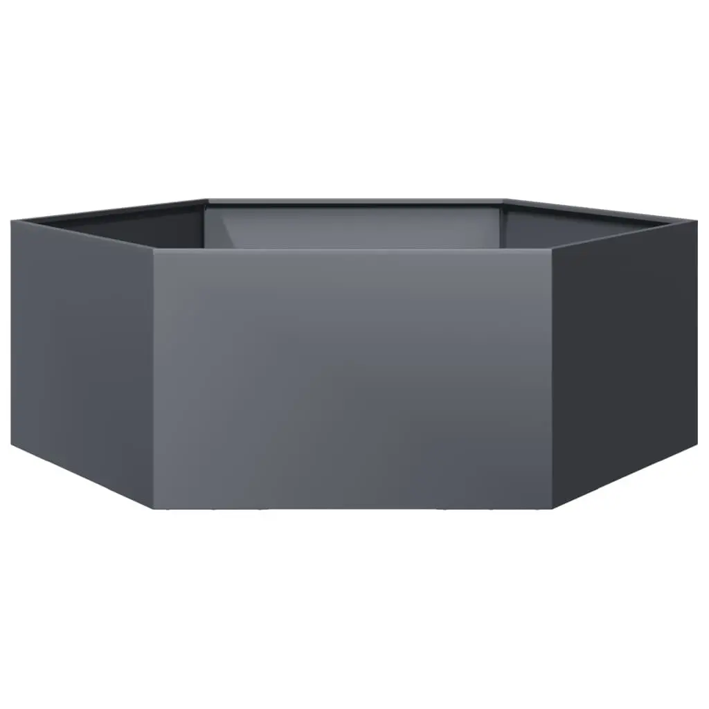 Hexagon Planter for Outdoor Gardening