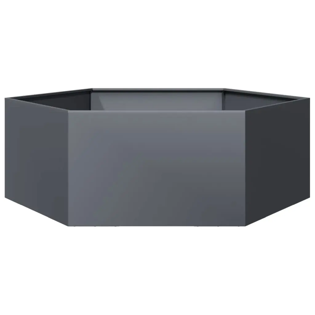 Hexagon Planter for Outdoor Gardening