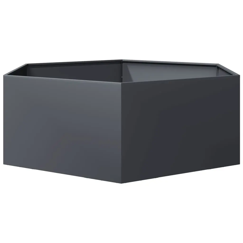 Hexagon Planter for Outdoor Gardening
