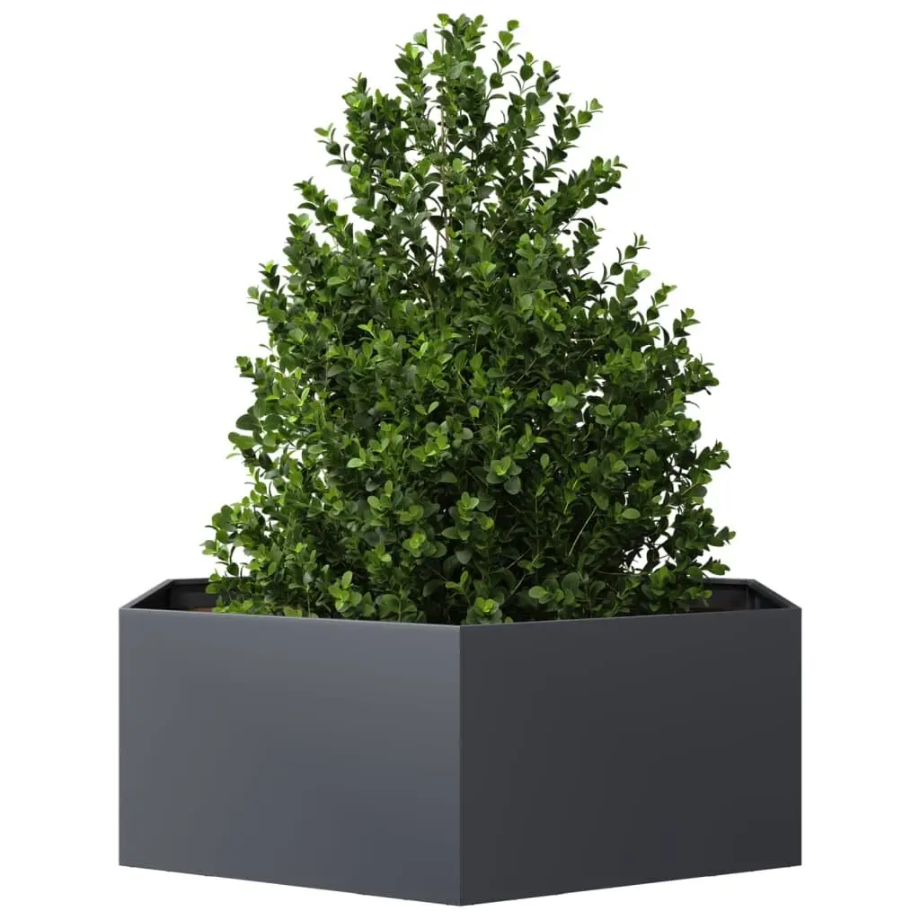 Hexagon Planter for Outdoor Gardening