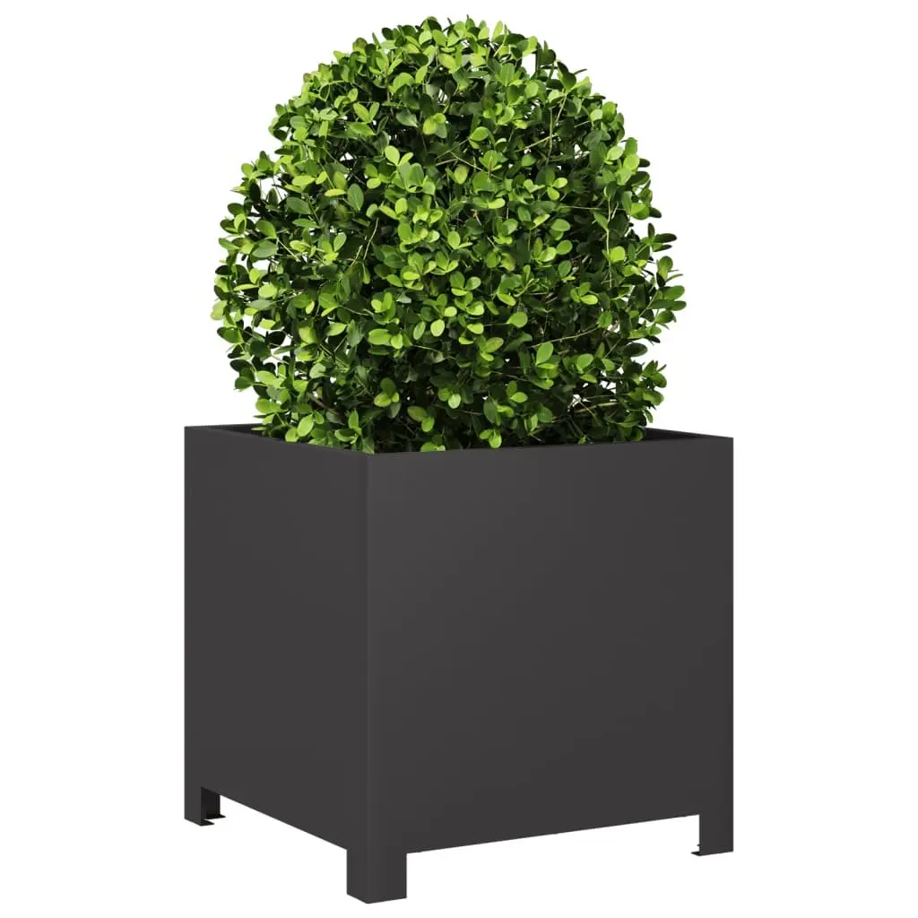 Garden Planters Black Steel 40x40x40 cm 2 Piece Outdoor Raised Beds Pots