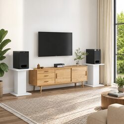 Your Audio Space's Best Friend: Speaker Stands Pair
