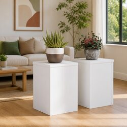 Your Go-To White Plant Stands 2 pcs 20x20x30 cm