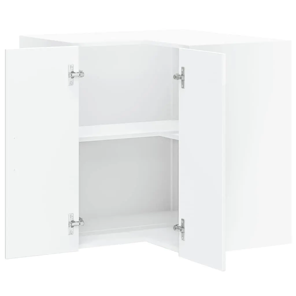 Kitchen Corner Storage Cabinet