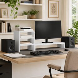 Monitor Stand with Desk Organizer