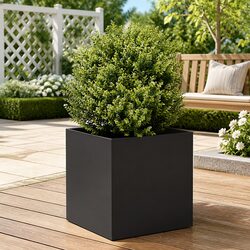 Add Charm with This Black Planter Box for Your Garden