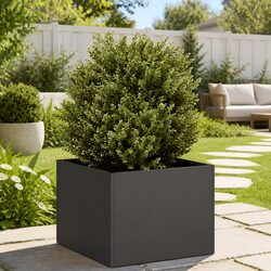 Your New Favorite Black Planter Box for Outdoor Spaces