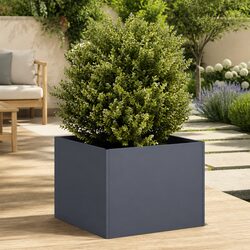 Your Friendly Anthracite Steel Planter Box Awaits!