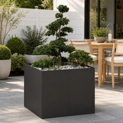 Your New Black Steel Planter Box Awaits You