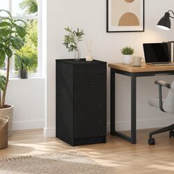 Your Office Storage Solution: Black Oak Cabinet