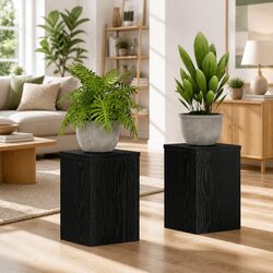 Create Your Perfect Plant Display with These Stands - 2 Pieces