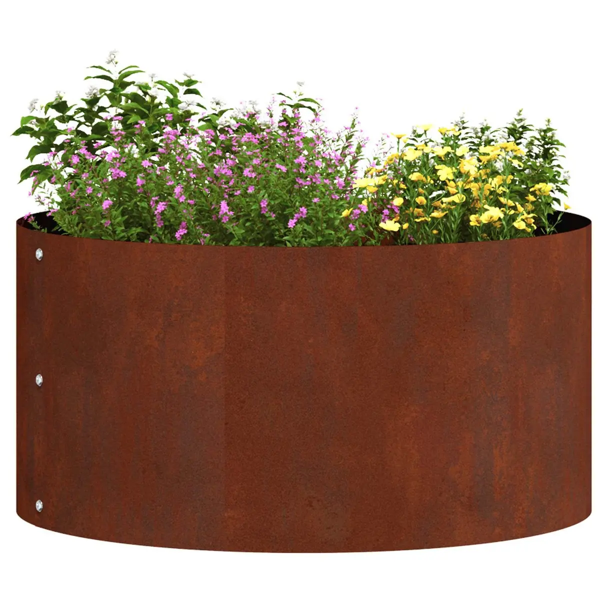 Planter Ring Steel Brown 40 x 40 x 20 cm 5 Piece Garden Edging Outdoor Landscaping