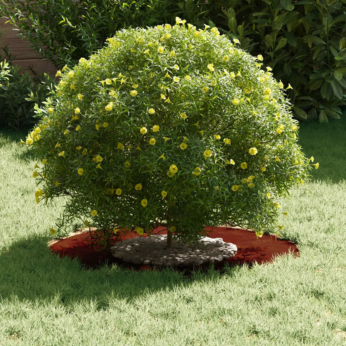 Decorative Tree Ring Set Brown Flat 30 to 60cm Diameter 5 Piece Outdoor Garden Protective Landscaping