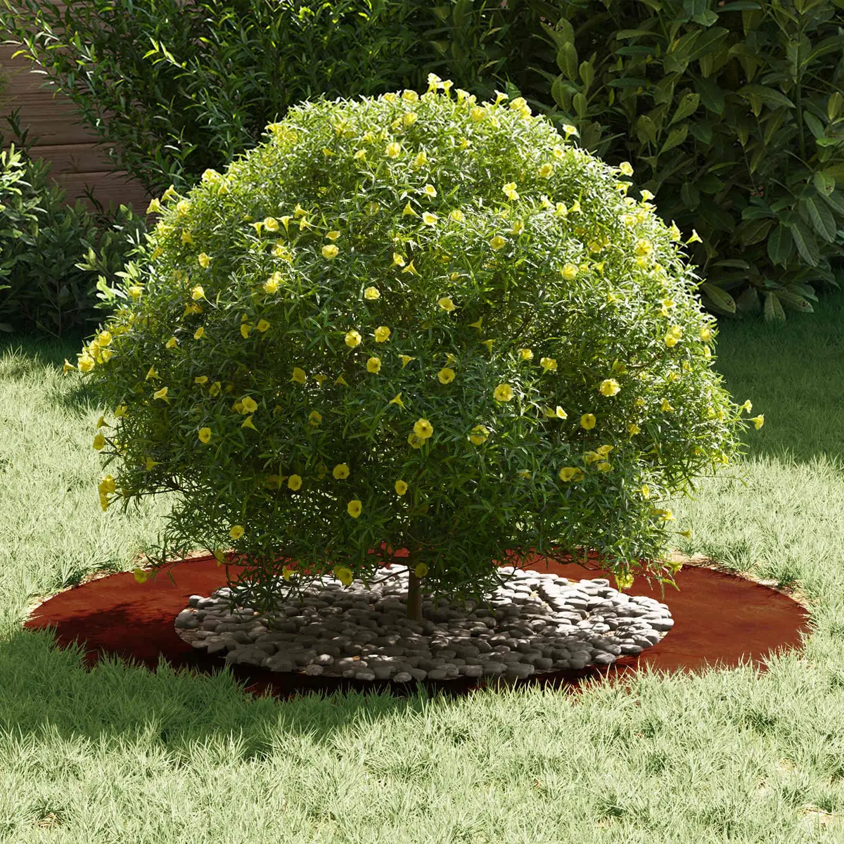 Tree Ring Planter Rusty Brown Outdoor Diameter 50cm or 80cm