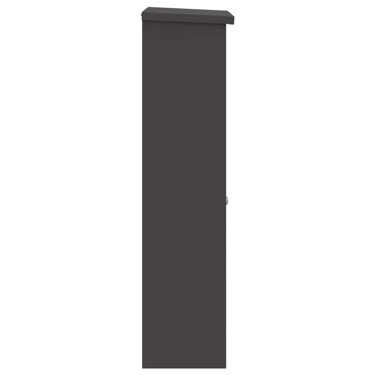 Parcel Drop Box Black Steel Outdoor Storage Hinged Doors 44.5 x 29 x 110.5 cm
