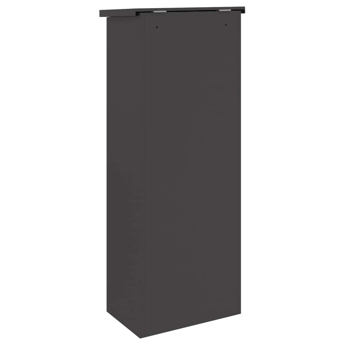 Parcel Drop Box Black Steel Outdoor Storage Hinged Doors 44.5 x 29 x 110.5 cm