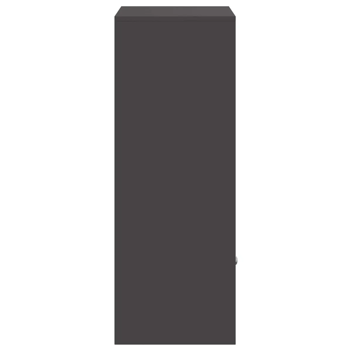 Parcel Drop Box with Storage Hinge Door Deadbolt Lock Black Steel Outdoor