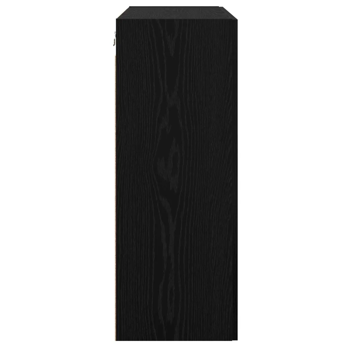 Wall-mounted Storage Cabinet Black Oak Modern Shelving Unit Living Room Office