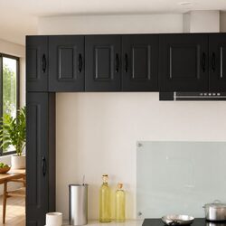 Friendly Black Kitchen Cabinet for Easy Storage