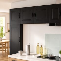 Your Friendly Kitchen Cabinet with Dishwasher Panel