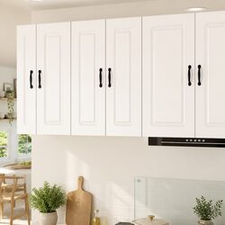 Friendly Kitchen Cabinet for Your Organisational Needs