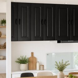 Friendly Kitchen Cabinet: Black Engineered Wood Design