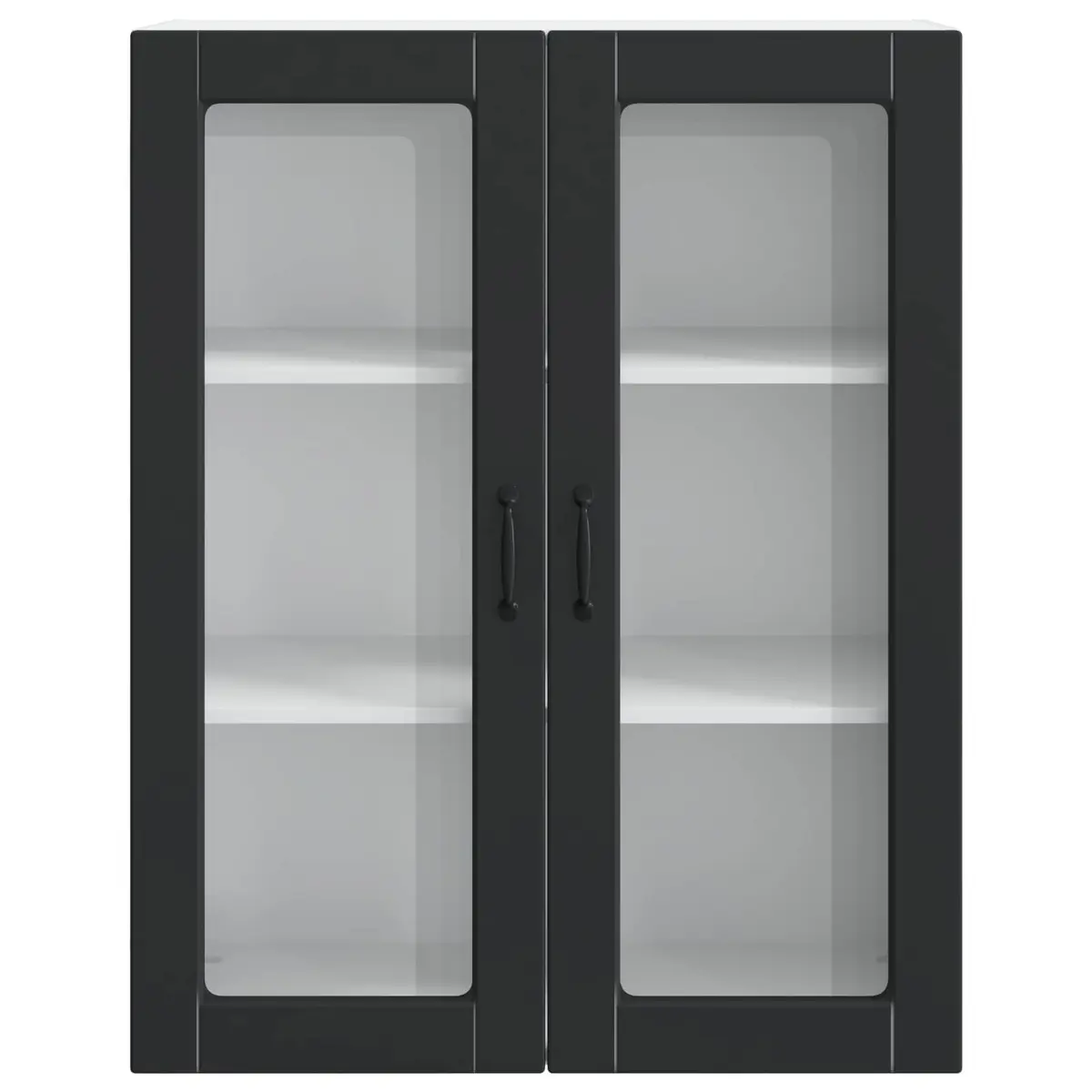 Black Kitchen Cabinet with Dishwasher Panel