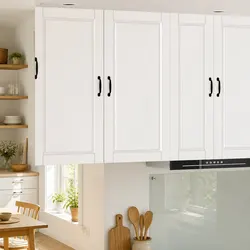 Kitchen Cabinet Wall-Mounted Organizer 50x31x100cm for Your Kitchen